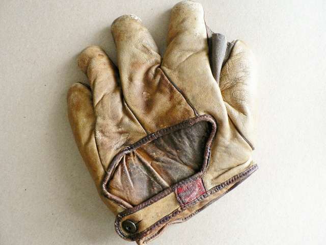 Spalding Full Web Back